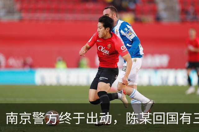 南京警方终于出动，陈某回国有三大恶果等着，查清公费谜团是重点