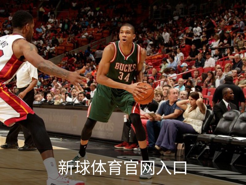 新球体育官网入口品牌故事